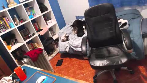 ravingr3d3 online show from 02.02.26