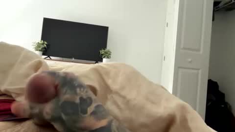 raws33x online show from 02.03.26