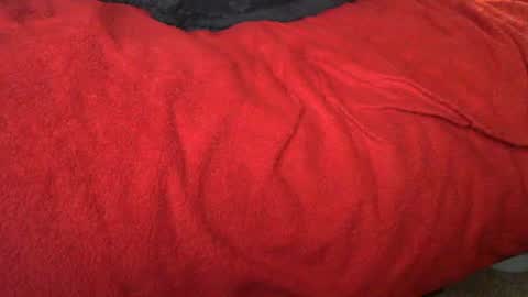 Snapshot of raymondo1964 chatting on 11.12.25 raymondo1964 online show from 11.12.25