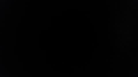 rayolex online show from 02.15.25