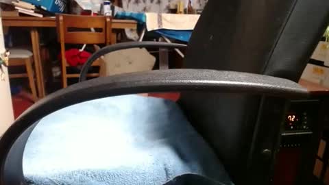 Snapshot of raysmith77777777 chatting on 11.04.25 Ray online show from 11.04.25