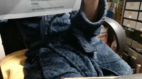 Snapshot of raysmith77777777 chatting on 11.23.25 Ray online show from 11.23.25