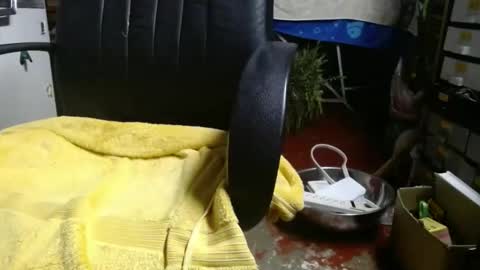 Snapshot of raysmith77777777 chatting on 11.27.25 Ray online show from 11.27.25