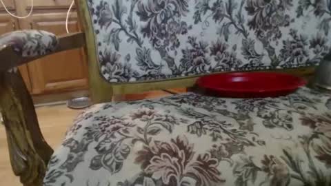 Snapshot of raysmith77777777 chatting on 02.01.26 Ray online show from 02.01.26