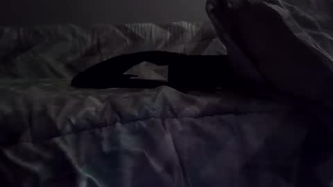 Snapshot of rcalty chatting on 11.10.25 rcalty online show from 11.10.25