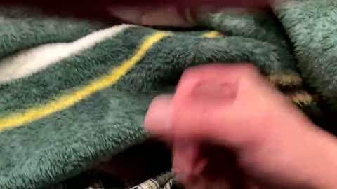 Snapshot of realbigload77 chatting on 02.24.26 realbigload77 online show from 02.24.26