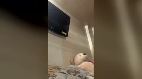 Snapshot of reallife1993 chatting on 02.01.26 reallife1993 online show from 02.01.26