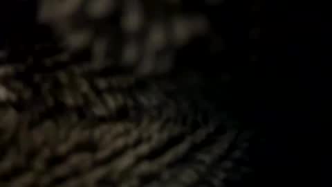 Snapshot of realmanz chatting on 01.08.25 realmanz online show from 01.08.25