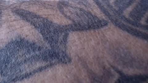 Snapshot of realrubpirate chatting on 01.18.25 realrubpirate online show from 01.18.25