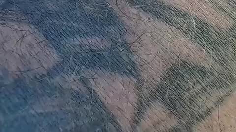 Snapshot of realrubpirate chatting on 09.09.25 realrubpirate online show from 09.09.25