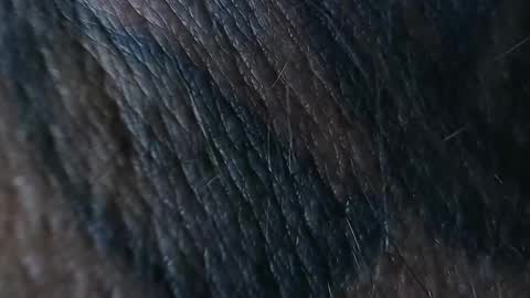 Snapshot of realrubpirate chatting on 09.26.25 realrubpirate online show from 09.26.25