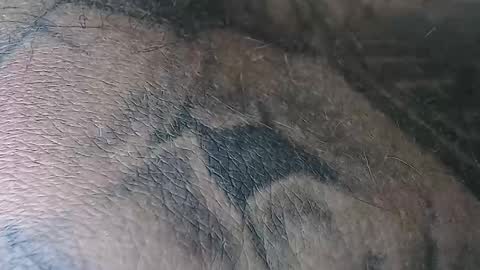 Snapshot of realrubpirate chatting on 11.02.25 realrubpirate online show from 11.02.25