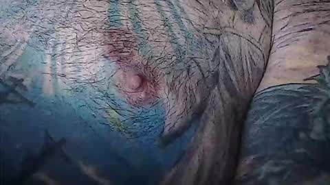 realrubpirate online show from 02.03.26