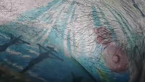 realrubpirate online show from 05.03.26