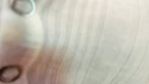 Snapshot of realtoxxxmaria chatting on 09.13.25 Maria Realto online show from 09.13.25