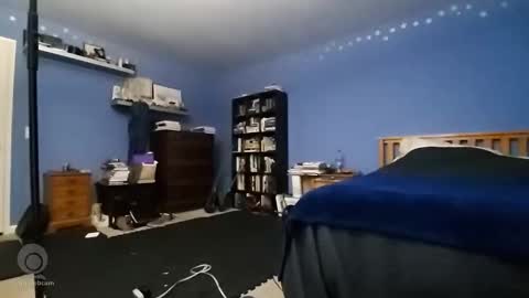 Snapshot of rebelstarlight chatting on 01.18.26 rebelstarlight online show from 01.18.26