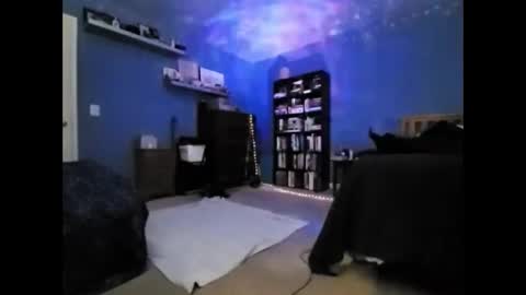 Snapshot of rebelstarlight chatting on 02.13.26 rebelstarlight online show from 02.13.26