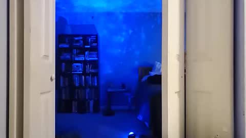 Snapshot of rebelstarlight chatting on 02.16.26 rebelstarlight online show from 02.16.26