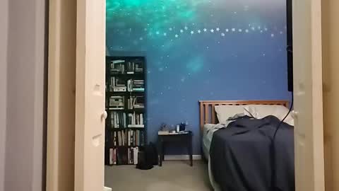 Snapshot of rebelstarlight chatting on 02.21.26 rebelstarlight online show from 02.21.26