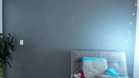 twitter REECET26 instagram RECCETAYLOR online show from 02.01.25