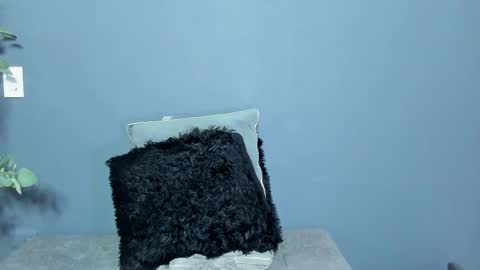 twitter REECET26 instagram RECCETAYLOR online show from 03.01.26