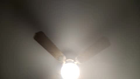 red24devils online show from 03.12.25