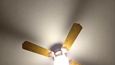 red24devils online show from 03.05.26