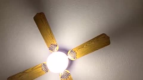 red24devils online show from 03.14.26