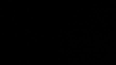 Neta online show from 10.24.25