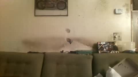 redmud3 online show from 04.24.26