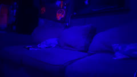 Snapshot of reeferleefer chatting on 03.10.26 Lee online show from 03.10.26