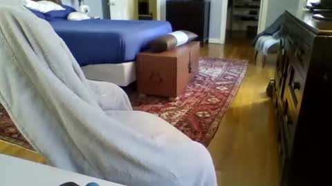 Snapshot of regularguynola chatting on 01.24.25 RegularGuyNOLA online show from 01.24.25