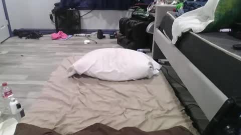 Snapshot of remshotdt chatting on 02.24.25 remshotdt online show from 02.24.25