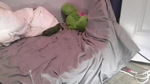 Snapshot of remshotdt chatting on 03.01.25 remshotdt online show from 03.01.25