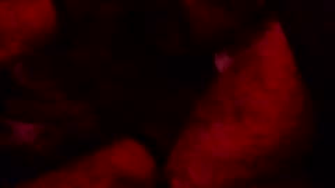 Snapshot of renuetto chatting on 10.13.25 renuetto online show from 10.13.25