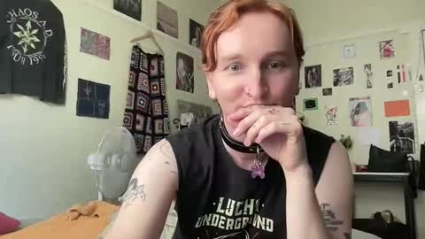 bambi online show from 03.20.26