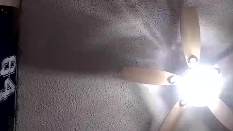 Snapshot of rg120 chatting on 12.02.25 rg120 online show from 12.02.25