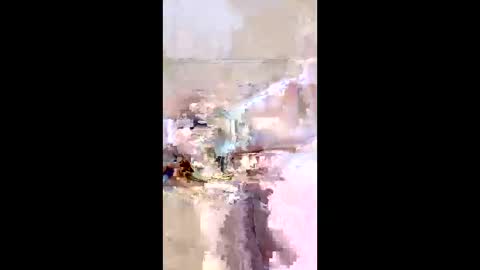 rgbarbary online show from 12.21.25