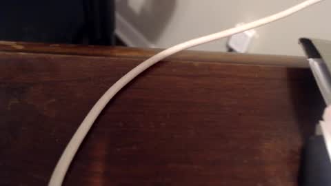 Snapshot of rh1429 chatting on 02.17.25 Trae online show from 02.17.25