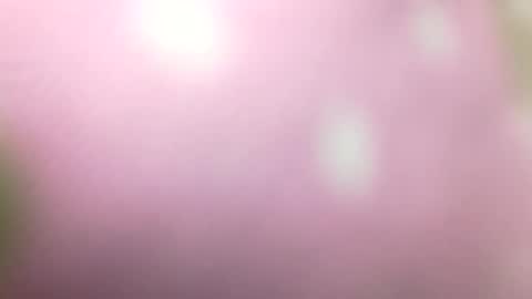 Snapshot of rhymes2479 chatting on 01.01.25 Shaved cock ready online show from 01.01.25