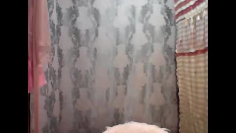 Snapshot of rianfox1234 chatting on 11.16.25 rianfox1234 online show from 11.16.25