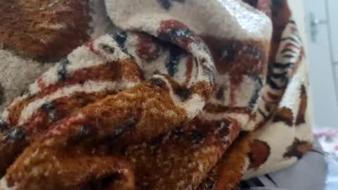 ricard440 online show from 01.12.25