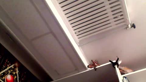 RICK DAYDREAM online show from 03.16.26