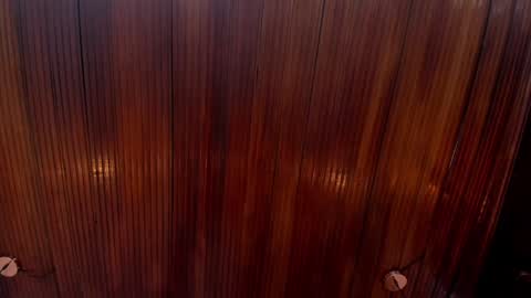 Snapshot of riley_reid_19 chatting on 12.24.24 kamila online show from 12.24.24