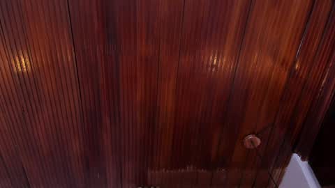 Snapshot of riley_reid_19 chatting on 01.10.25 kamila online show from 01.10.25