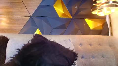 Snapshot of riley_reid_19 chatting on 09.17.25 kamila online show from 09.17.25