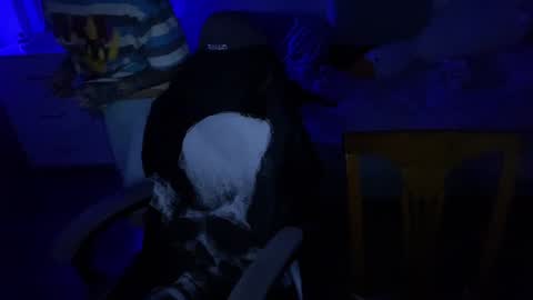   DianaBrite            fansl y online show from 12.17.24