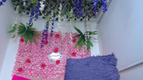 Snapshot of risitos_de_oro_ chatting on 04.29.26 Risitos De Oro online show from 04.29.26