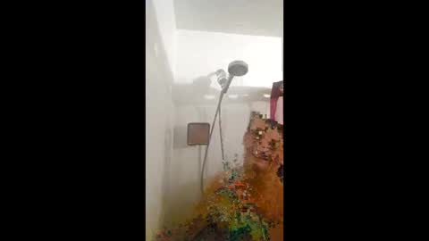 Randiz online show from 03.23.26