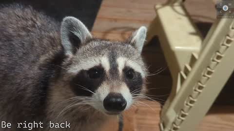 Ryan aka KeylimeRy online show from 02.05.25